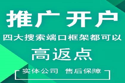 百度推广的成功案例：从零到一的突破